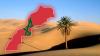 النزاع حول الصحراء المغربية لازال راكدا و"صحراويون من أجل السلام" جاءت نتيجة الإدارة الفاشلة لـ"البوليساريو" حسب قيادي بالحركة