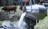 مهني يحدد العوامل التي ساهمت في نقص مادة الحليب بالأسواق المغربية