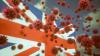 المملكة المتحدة: ارتفاع الإصابات المؤكدة بمتحور أوميكرون إلى 104 حالات