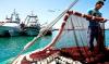 توقيع اتفاقية تعاون بين غرفة الصيد البحري المتوسطية وتنظيم مهنيي الصيد التقليدي بميناء كونيل جنوب إسبانيا