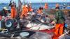 هذا ما قرره المغرب والاتحاد الأوروبي بشأن تجديد اتفاقية الصيد البحري