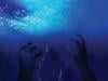 غرق طفلين في حوض مائي ضواحي بني ملال