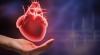 هل يُسمح لمرضى القلب بالسفر؟