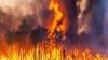 الشيلي.. حصيلة ضحايا الحرائق المدمرة ترتفع إلى 112 قتيلا