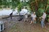 أستراليا: الإمساك بتمساح يبلغ طوله 4.3 متر بعد أن ظل طليقاً لمدة شهر